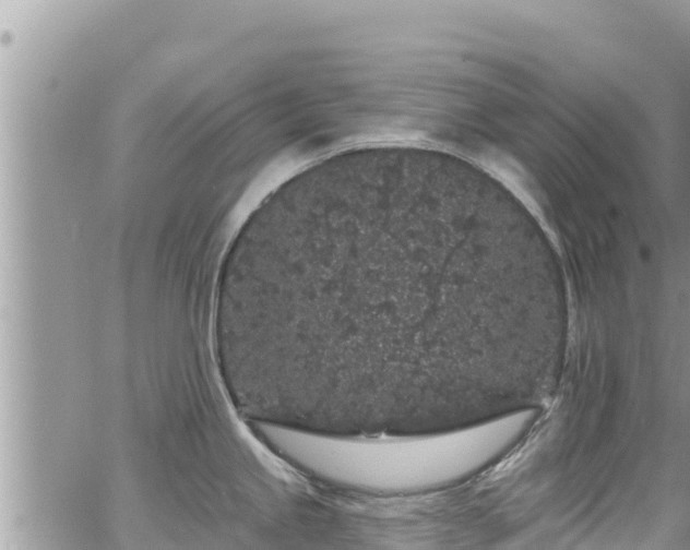 X0000065261245200602211242