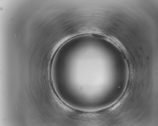 X0000065261246200602211242