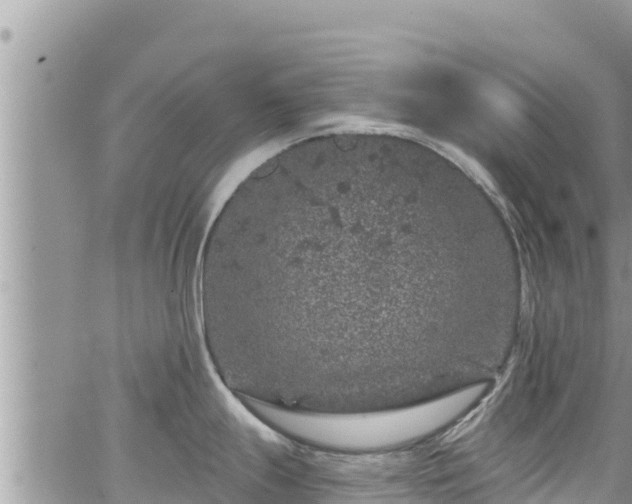 X0000065261247200602211242