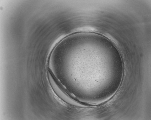 X0000065261248200602211242