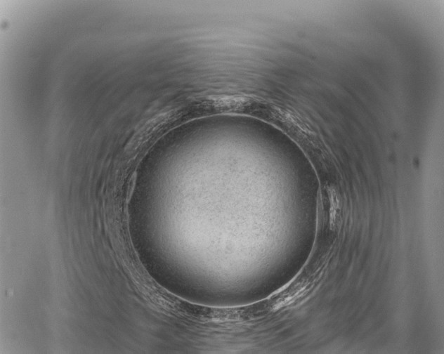 X0000065261249200602211241