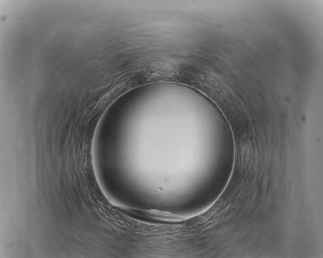 X0000065261250200602211241