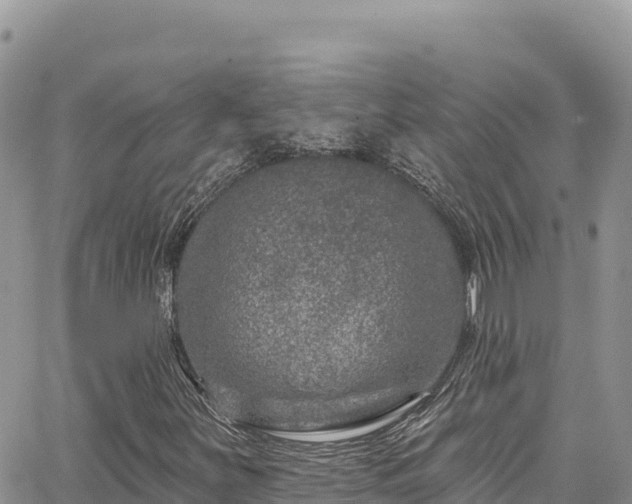 X0000065261251200602211241