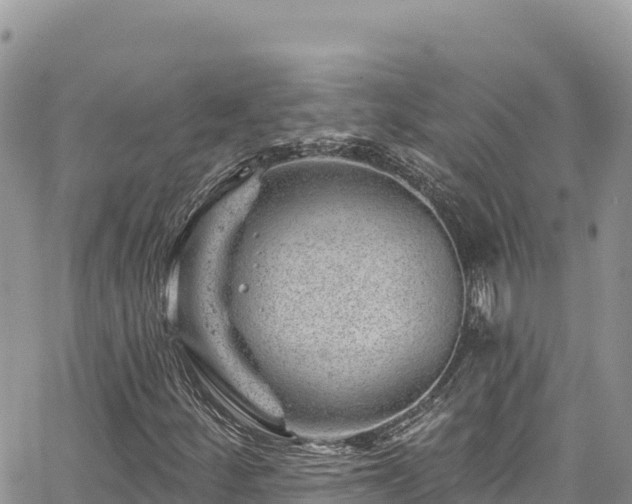 X0000065261252200602211241