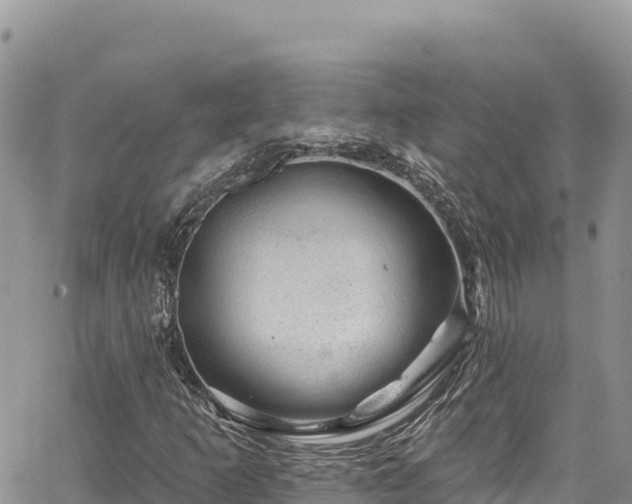 X0000065261253200602211241