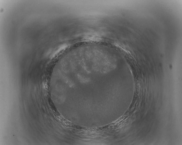 X0000065261254200602211241