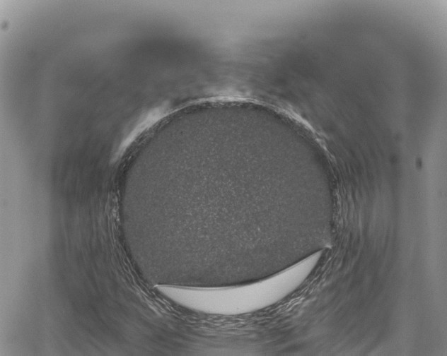 X0000065261255200602211241