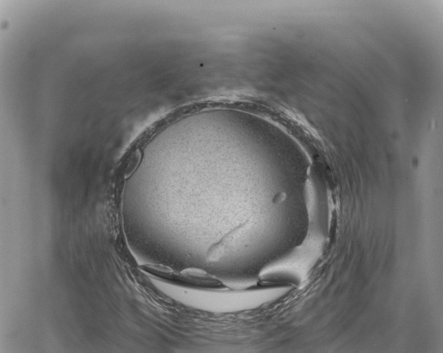 X0000065261256200602211241