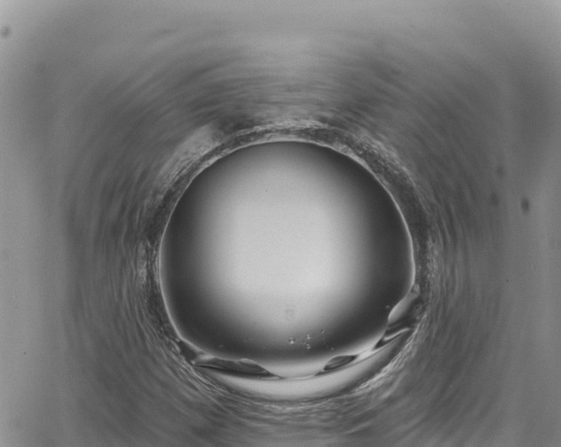 X0000065261257200602211241