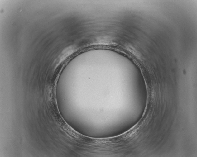 X0000065261258200602211241