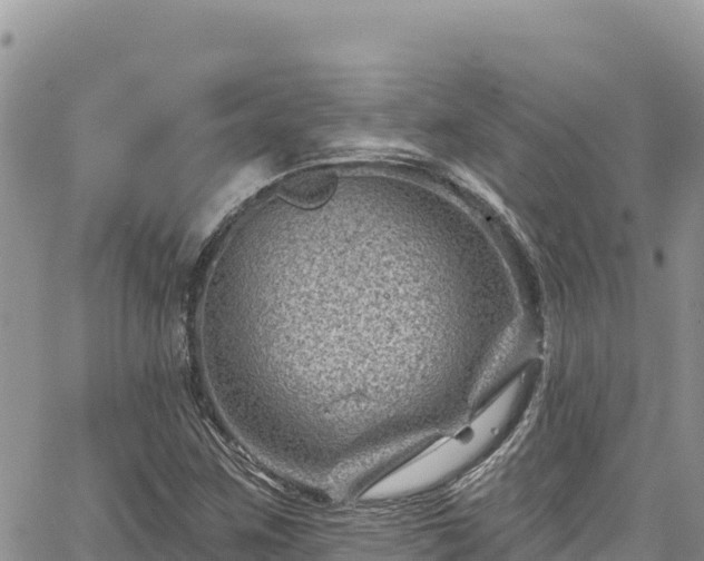 X0000065261259200602211241