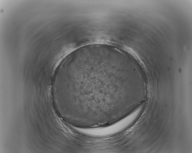 X0000065261260200602211241