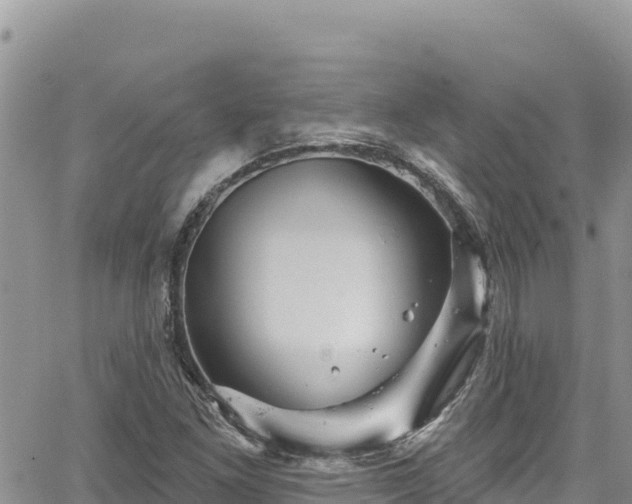 X0000065261261200602211241