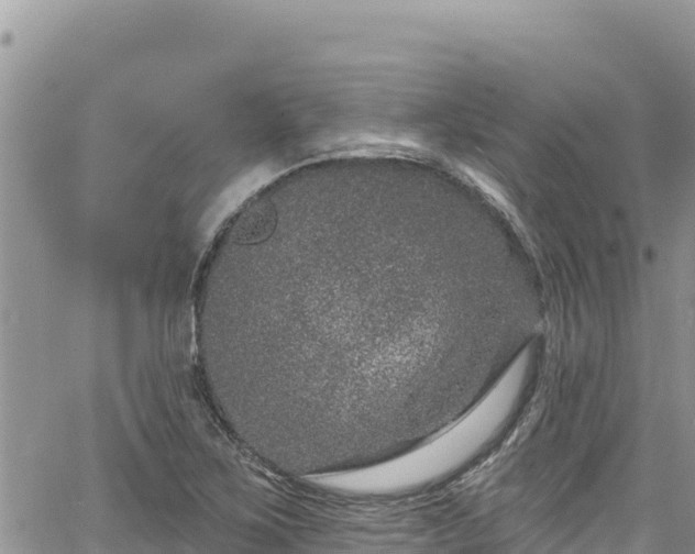 X0000065261267200602211241