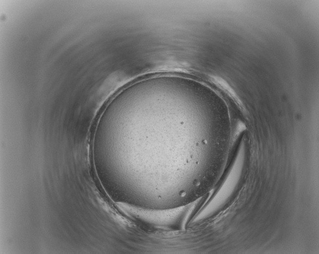 X0000065261268200602211241