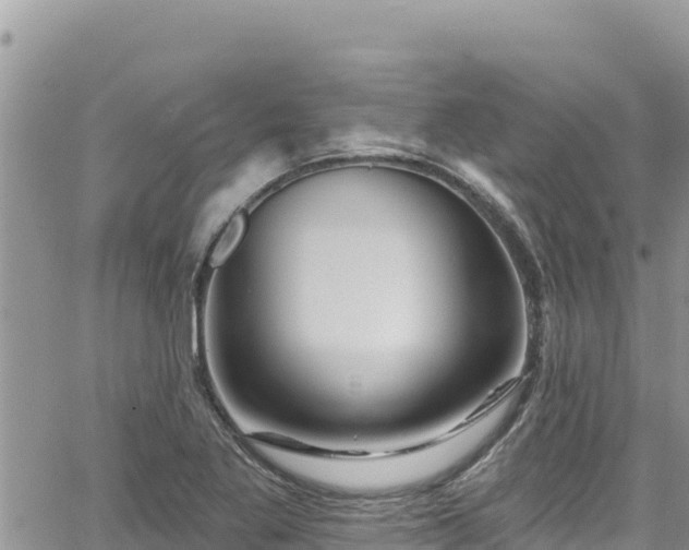 X0000065261269200602211241