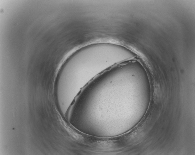 X0000065261272200602211241