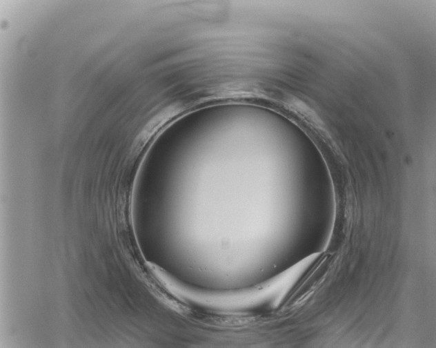 X0000065261273200602211241