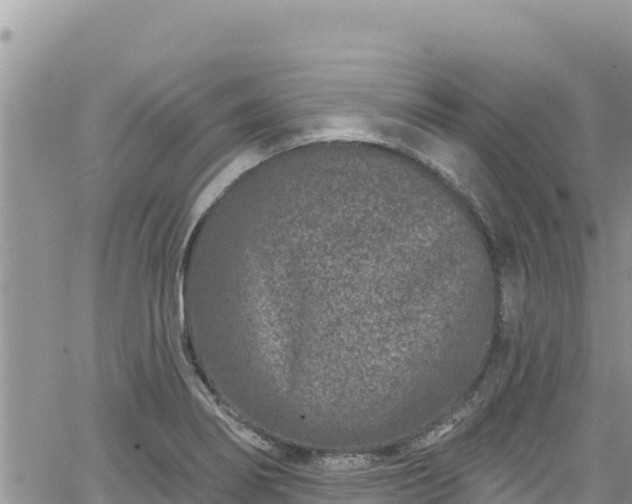 X0000065261274200602211241