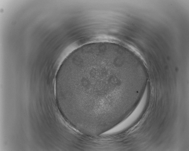 X0000065261275200602211241