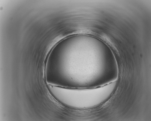 X0000065261276200602211241