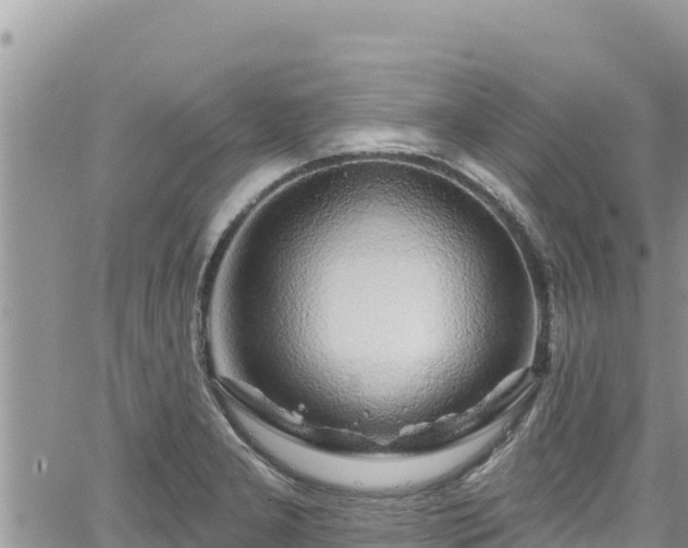 X0000065261277200602211241