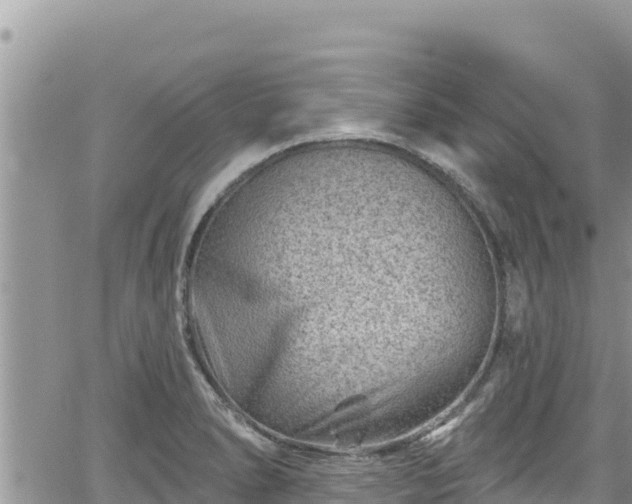 X0000065261278200602211241