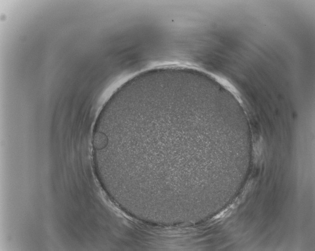 X0000065261279200602211241