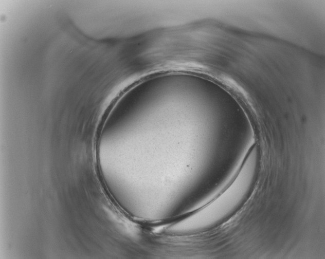 X0000065261280200602211241