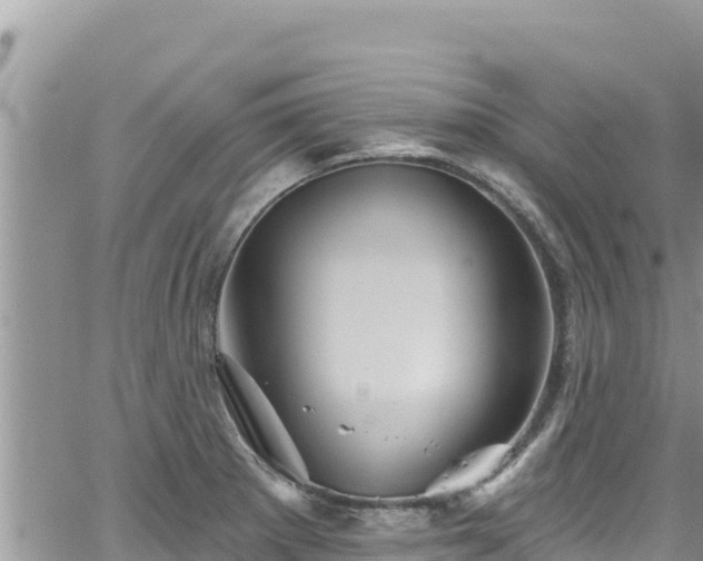 X0000065261281200602211241