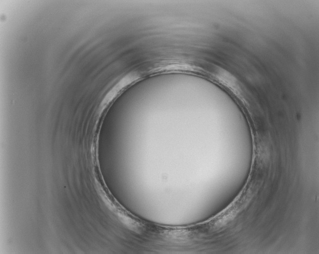 X0000065261282200602211240