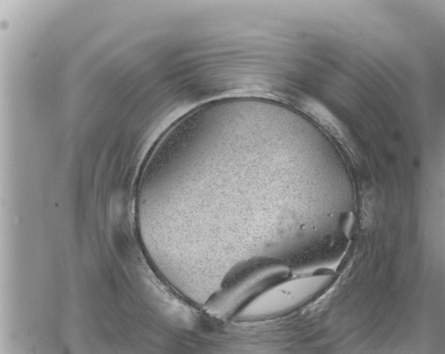 X0000065261284200602211240