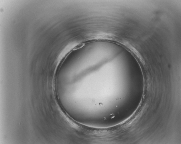 X0000065261285200602211240