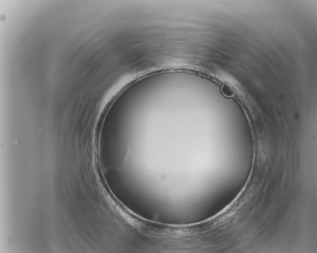 X0000065261286200602211240