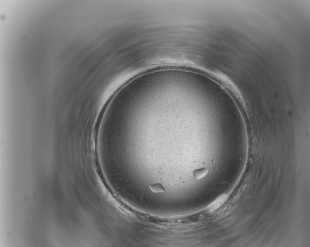 X0000065261287200602211240