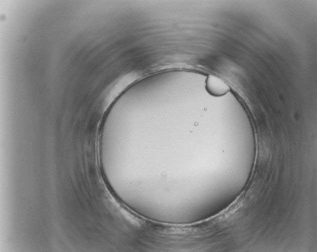 X0000065261290200602211240