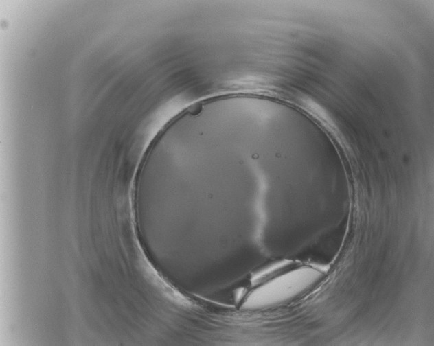 X0000065261291200602211240