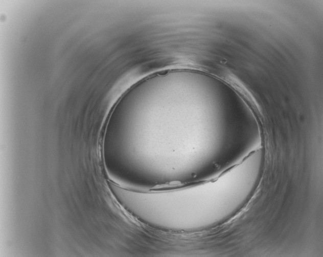 X0000065261292200602211240