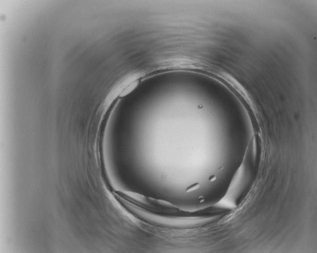 X0000065261293200602211240