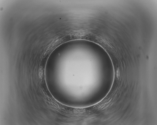 X0000065261299200602211240