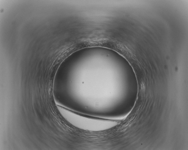 X0000065261300200602211240