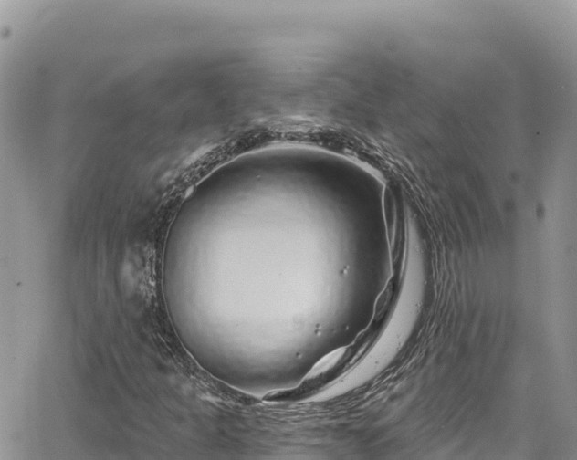 X0000065261301200602211240