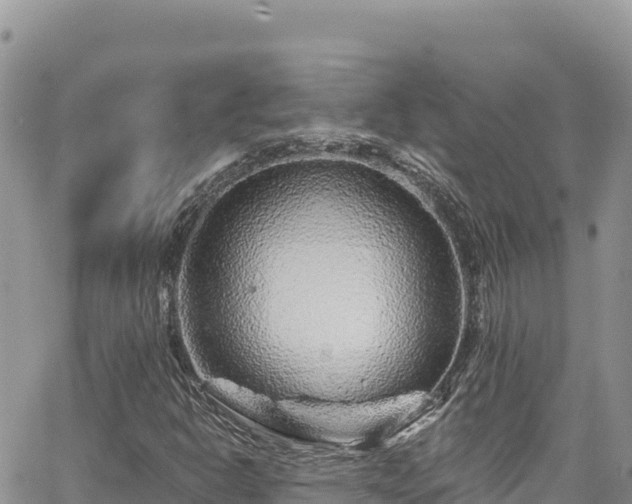 X0000065261302200602211240