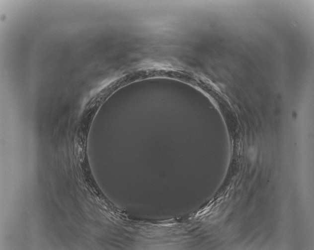 X0000065261303200602211240