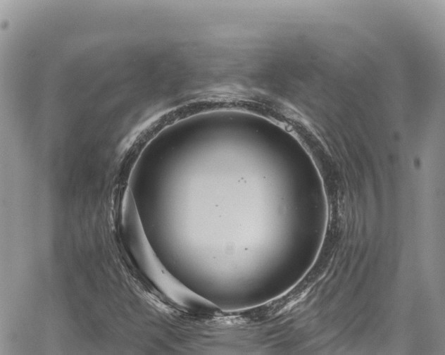 X0000065261304200602211240