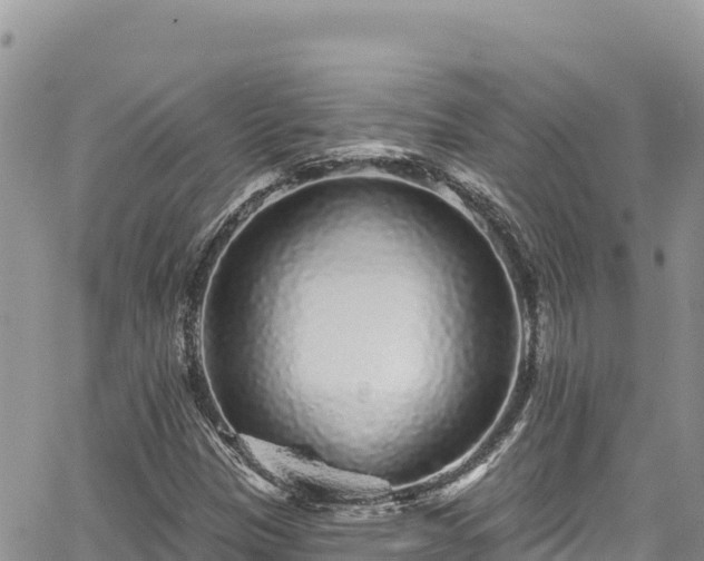 X0000065261305200602211240