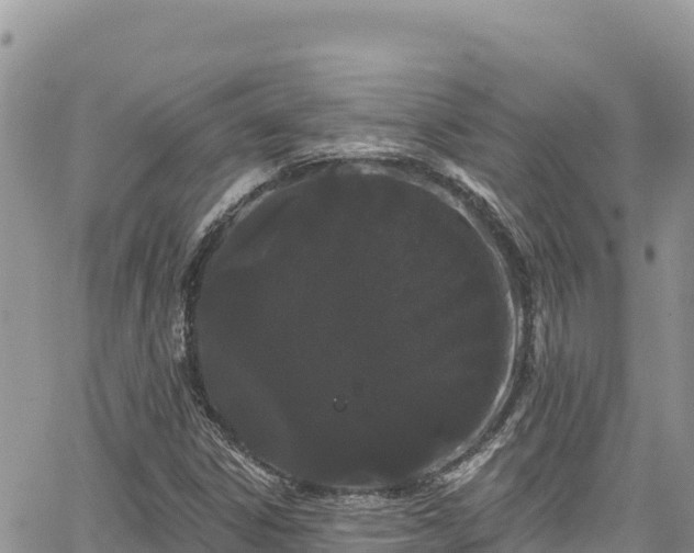 X0000065261306200602211240