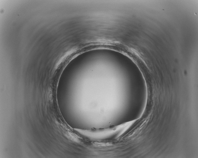 X0000065261307200602211240