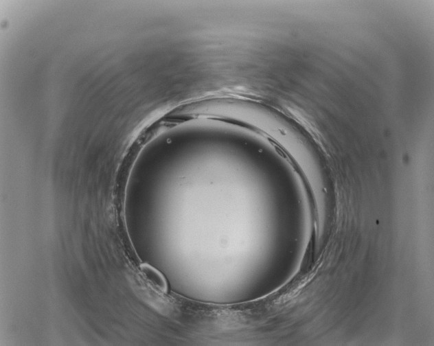 X0000065261308200602211240