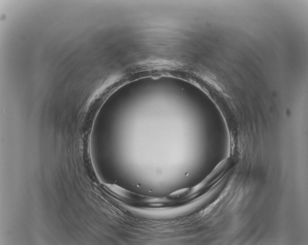 X0000065261309200602211240